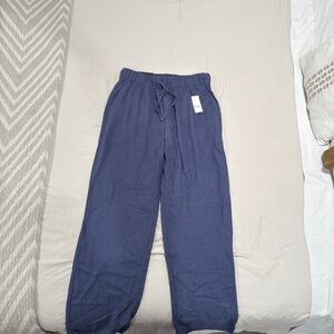Gap Indigo Linen Pants